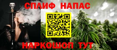 мяу мяу мука Кингисепп