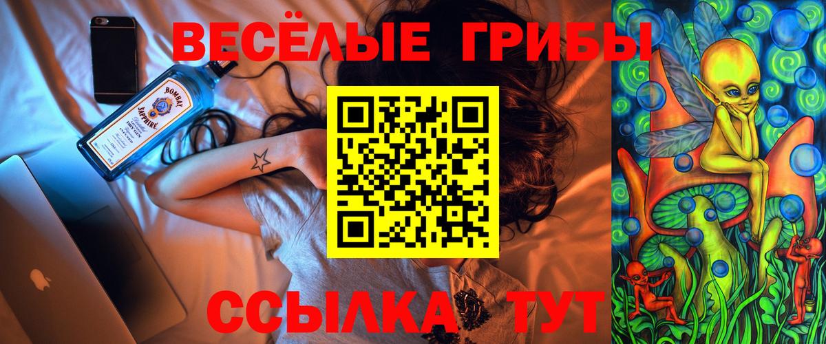 Знаменск  Псилоцибиновые грибы Magic Shrooms  где продают   Вход с VPN 